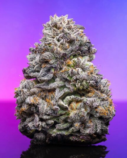 Zkittlez Strain