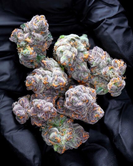 Acapulco Gold Strain