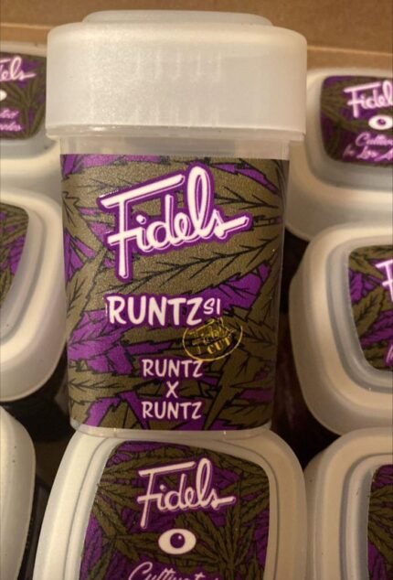 Fidels Runtz S1( Runtz x Runtz)